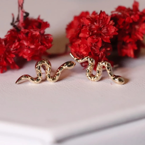 Darkness Warrior - Not all heroes need the spotlight - 10k gold snake earrings - Picture 2 of 5